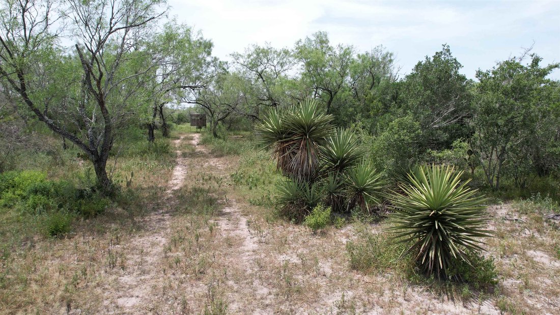 Terreno a Benavides, Texas, Stati Uniti 5 - 18762114