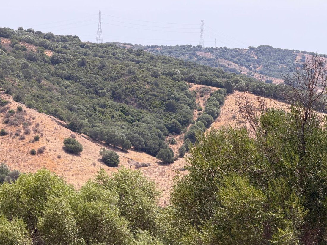 Farm Ranch in San Martin del Tesorillo, Andalusia, Spain 3 - 18762443