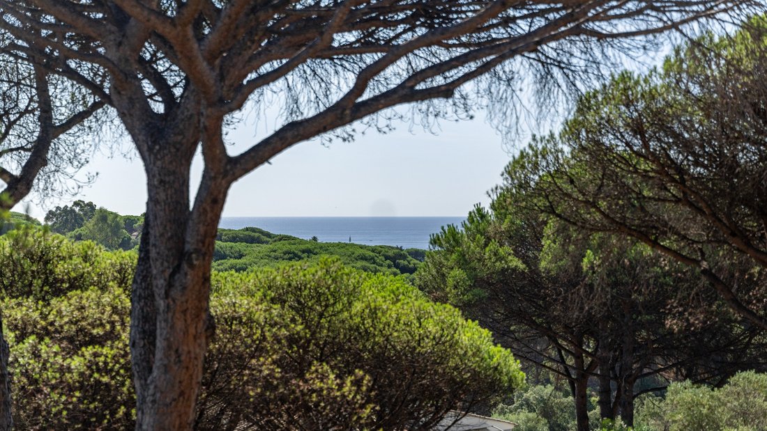 House in Nartelle-Noyer-Bellevue-bd des Sardinaux, Sainte-Maxime, France 2 - 18765371