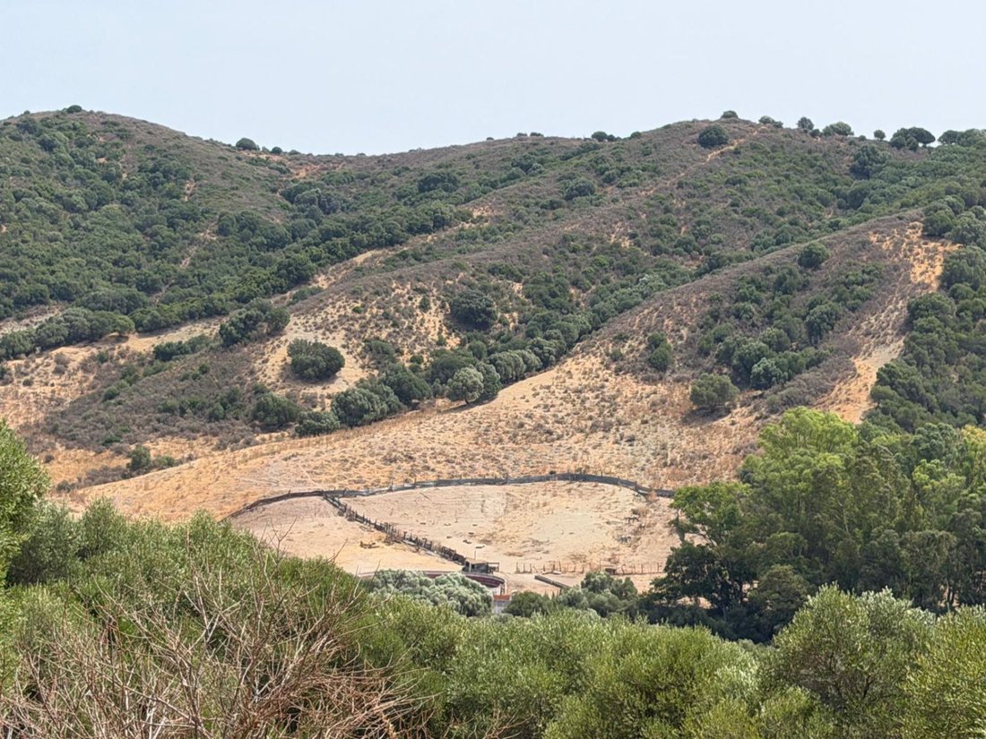 Farm Ranch in San Martin del Tesorillo, Andalusia, Spain 2 - 18762443