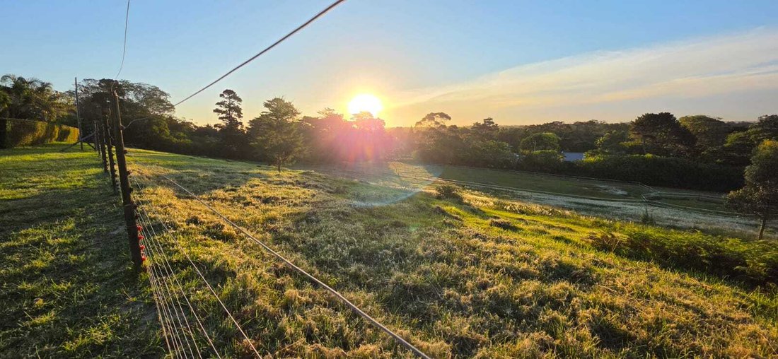 Farm Ranch in Beverley Grove, Eastern Cape, South Africa 3 - 18763502
