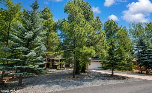 Haus in Pinetop, Arizona, Vereinigte Staaten 1