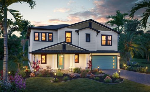 House in Palm Harbor, Florida, United States 1