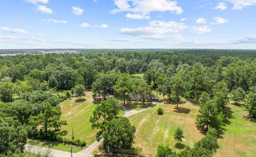 House in Conroe, Texas, United States 1