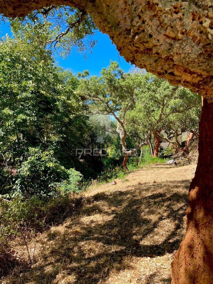 Farm Ranch in São Salvador da Aramenha, Portalegre, Portugal 4 - 18767221