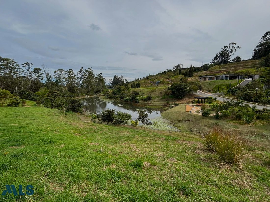 Land in Rionegro, Departamento de Antioquia, Kolumbien 5 - 18767134