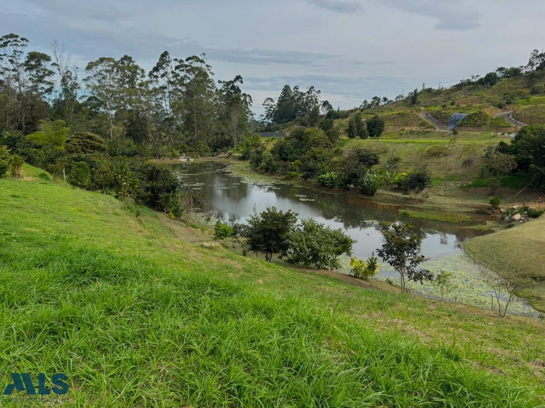 Land in Rionegro, Departamento de Antioquia, Kolumbien 4 - 18767134