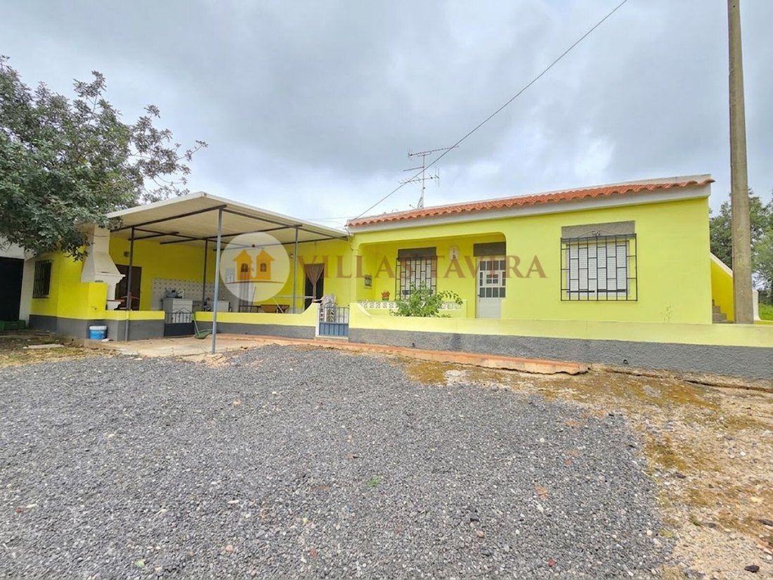 Finca a Faro (Se e Sao Pedro), Algarve, Portogallo 1 - 14011132