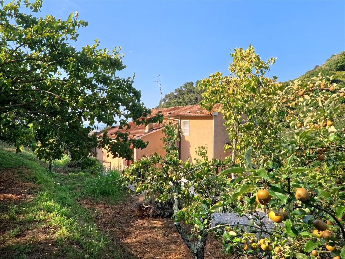 Casa en Strettoia-Capezzano-Valdicastello, Pietrasanta, Toscana 1 - 18770830