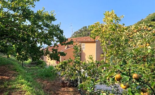 House in Strettoia-Capezzano-Valdicastello, Pietrasanta, Tuscany 1