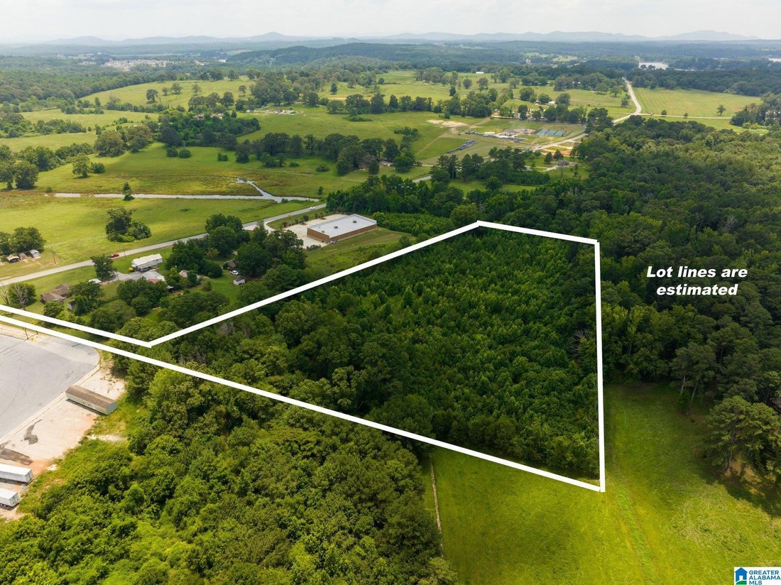 Terrain à Lincoln, Alabama, États-Unis 4 - 18768676
