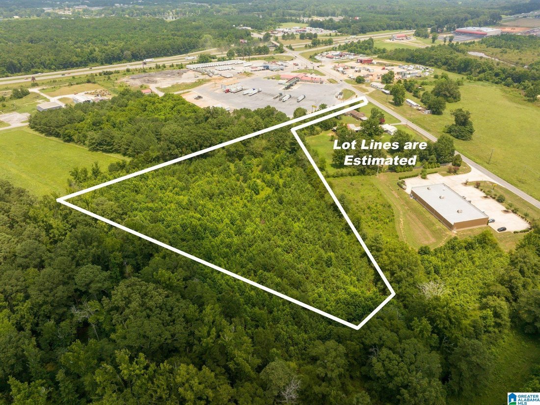 Terrain à Lincoln, Alabama, États-Unis 1 - 18768676