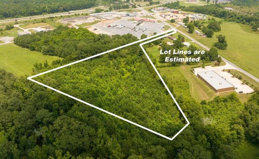Terreno a Lincoln, Alabama, Stati Uniti 1