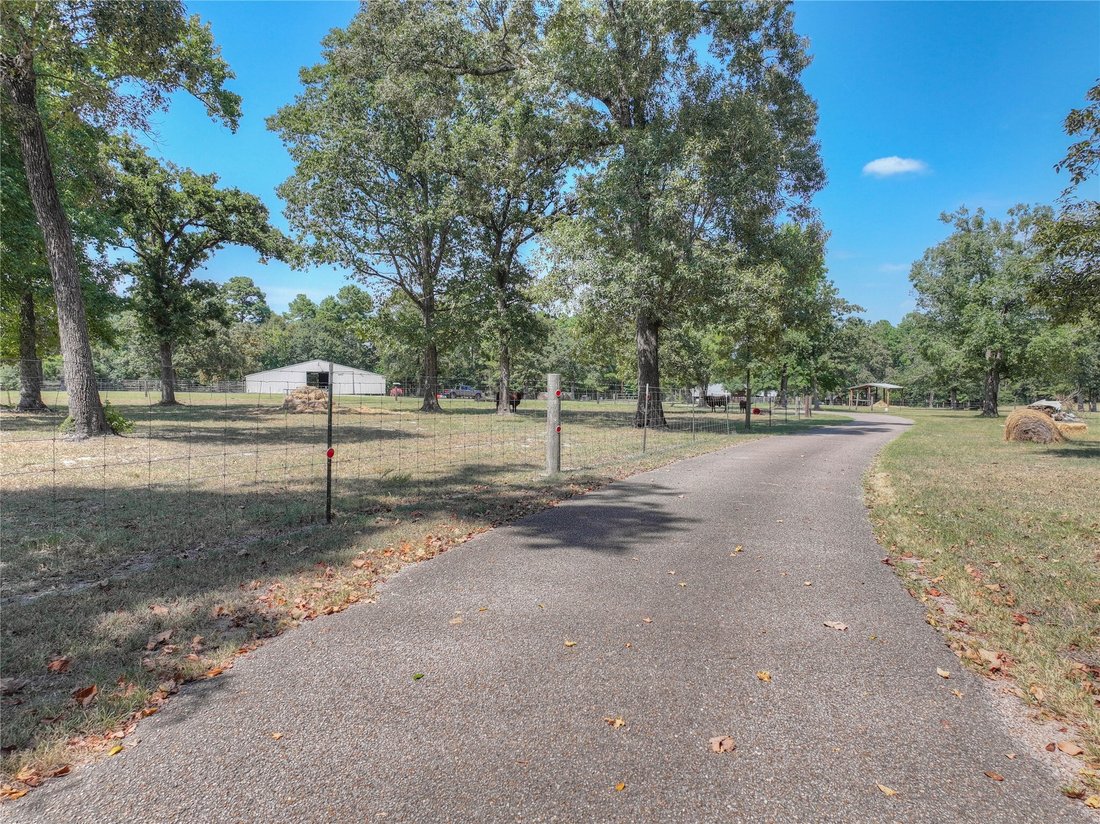Terreno en Conroe, Texas, Estados Unidos 3 - 18771681