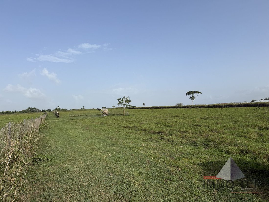 Terreno en Lamentin, Distrito de Basse-Terre, Guadalupe 2 - 18773608