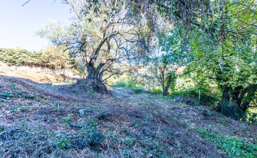 Land in Chambrun, Nizza, Frankreich 1
