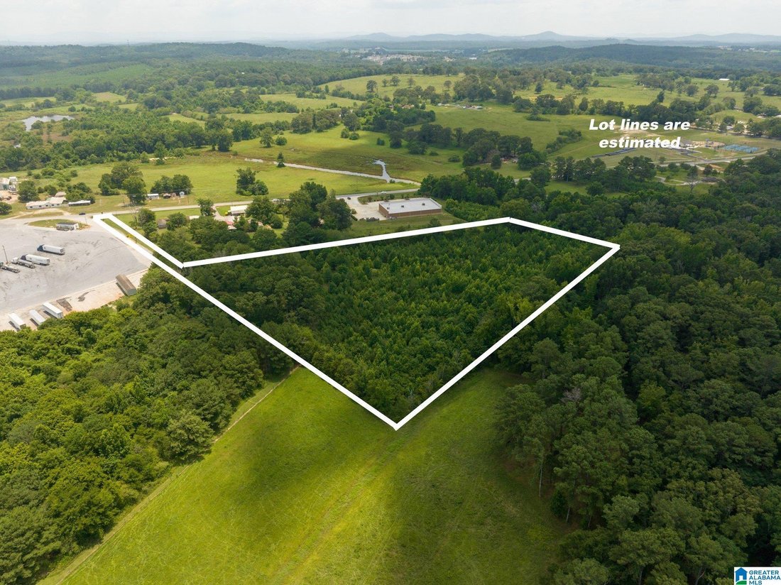 Terrain à Lincoln, Alabama, États-Unis 3 - 18768676