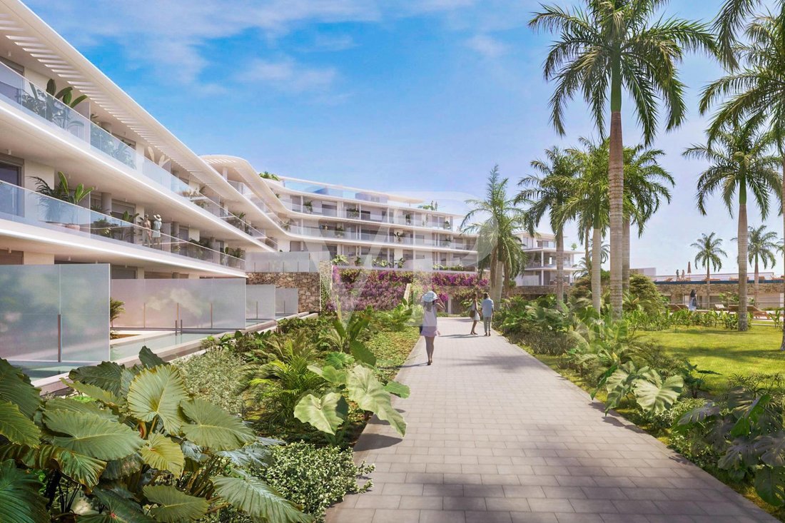 Apartment in Guia de Isora, Canary Islands, Spain 4 - 18768053