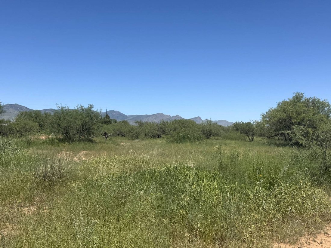 Terreno a Whetstone, Arizona, Stati Uniti 3 - 18768544