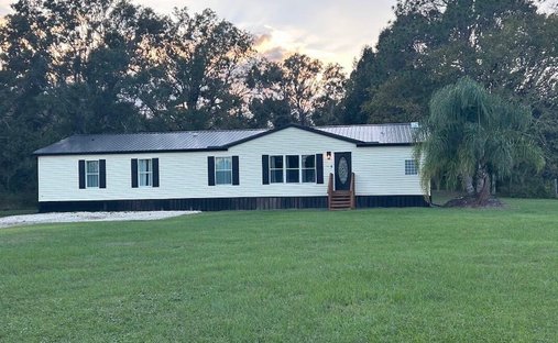Webster, Florida, United States 1