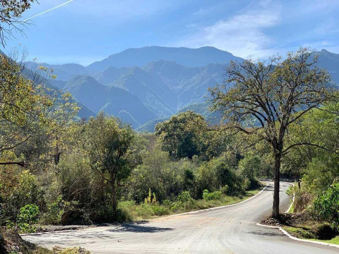 Land in Raíces, Nuevo León, Mexiko 3 - 18769490
