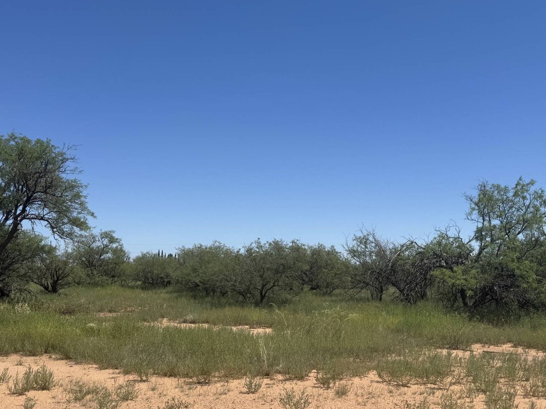 Terreno a Whetstone, Arizona, Stati Uniti 5 - 18768544