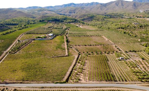 Country House in la Bisbal del Penedes, Catalonia, Spain 1