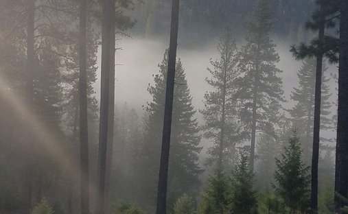 Terreno a Oldtown, Idaho, Stati Uniti 1