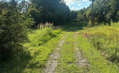 Land in Asheboro, North Carolina, United States 1