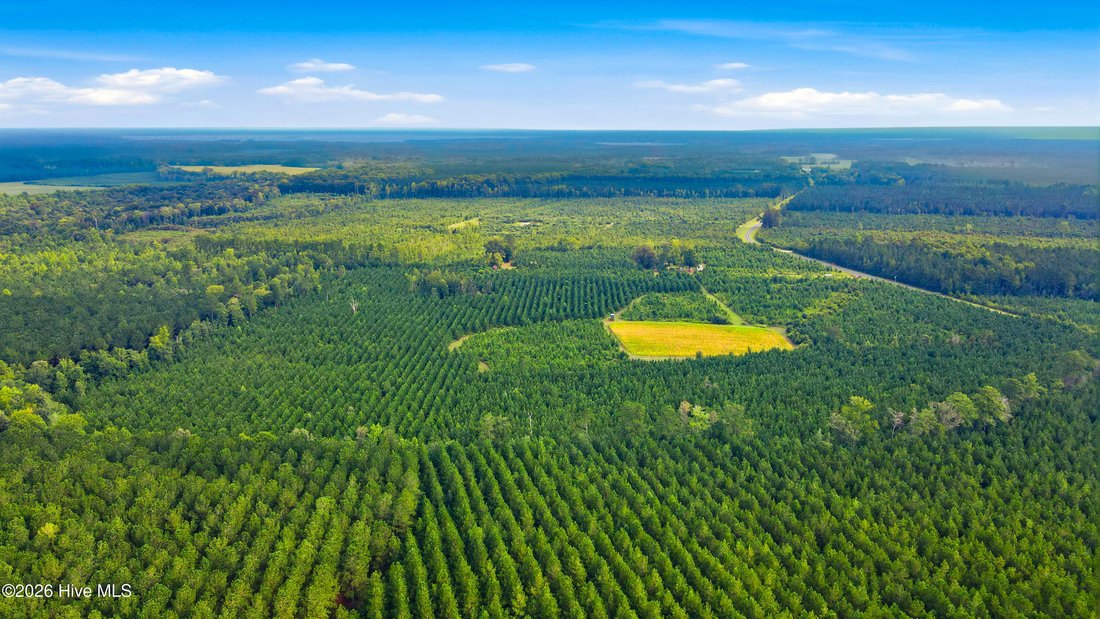 Land in Vanceboro, North Carolina, United States 3 - 18768622