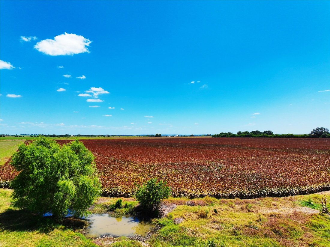 Terreno en Martindale, Texas, Estados Unidos 3 - 18768665