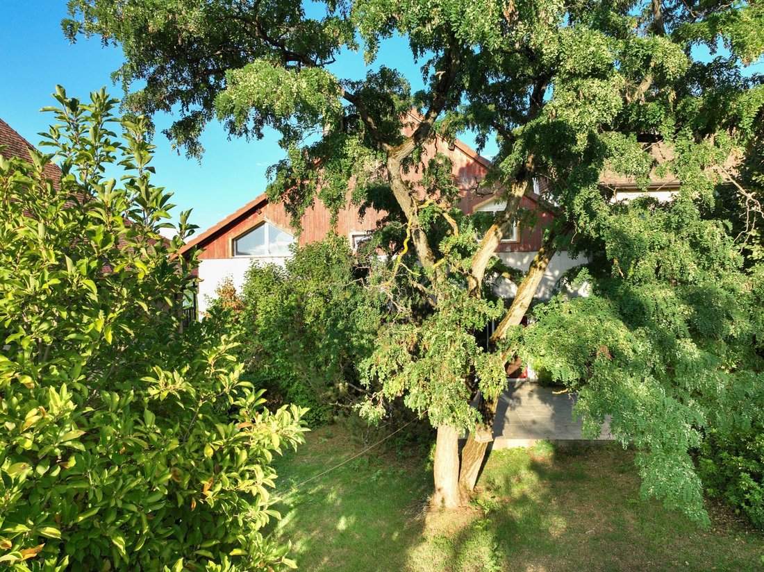 Casa en Maxilly-sur-Léman, Auvernia-Ródano-Alpes, Francia 1 - 18773720