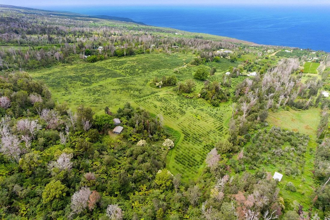Farm Ranch in Captain Cook, Hawaii, Vereinigte Staaten 3 - 18770535