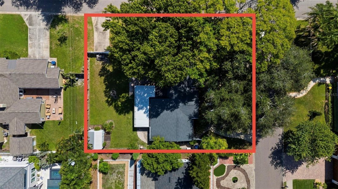 House in Tampa, Florida, United States 1 - 18768777