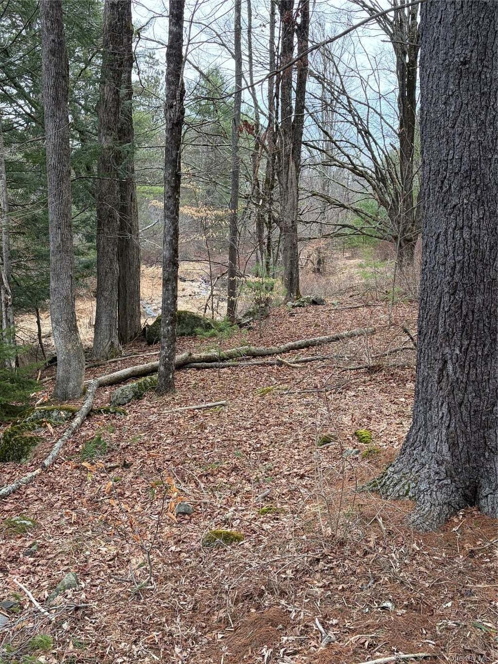 Terrain à Monticello, État de New York, États-Unis 3 - 17998803