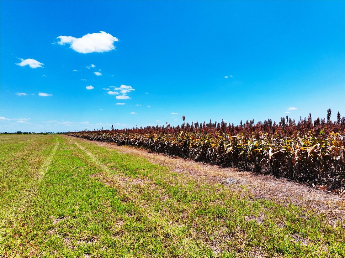 Terreno en Martindale, Texas, Estados Unidos 5 - 18768665
