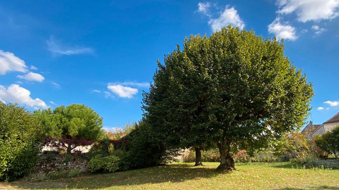 Maison à Le Coudray-Montceaux, Île-de-France, France 2 - 18770088