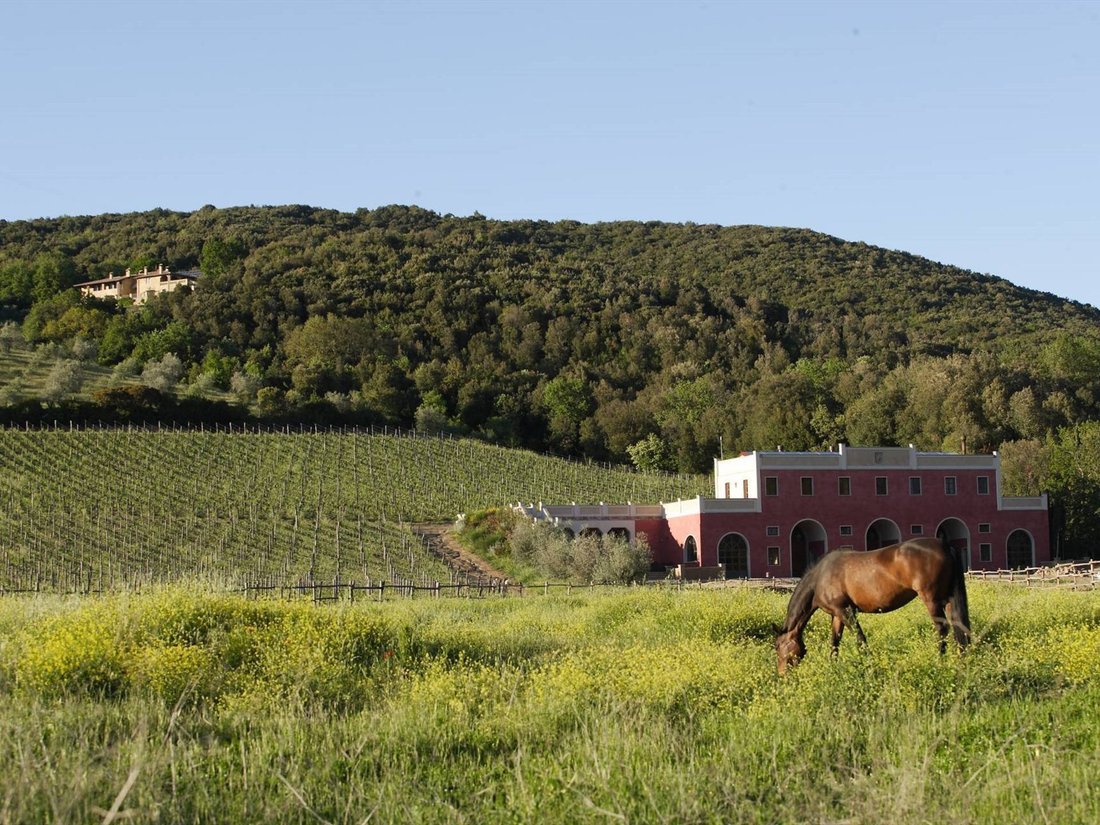 Casa de Campo en Gavorrano, Toscana, Italia 2 - 18773431