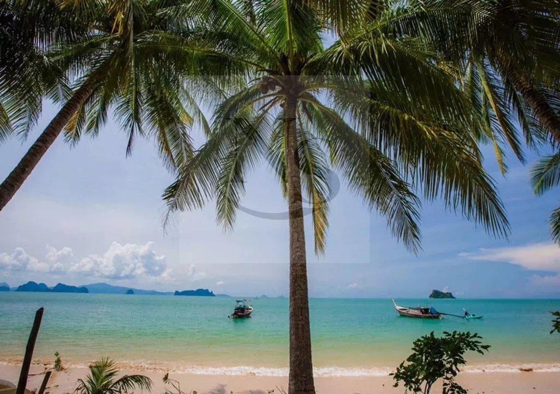Estate in Phuket, Phuket, Thailand 2 - 13382135
