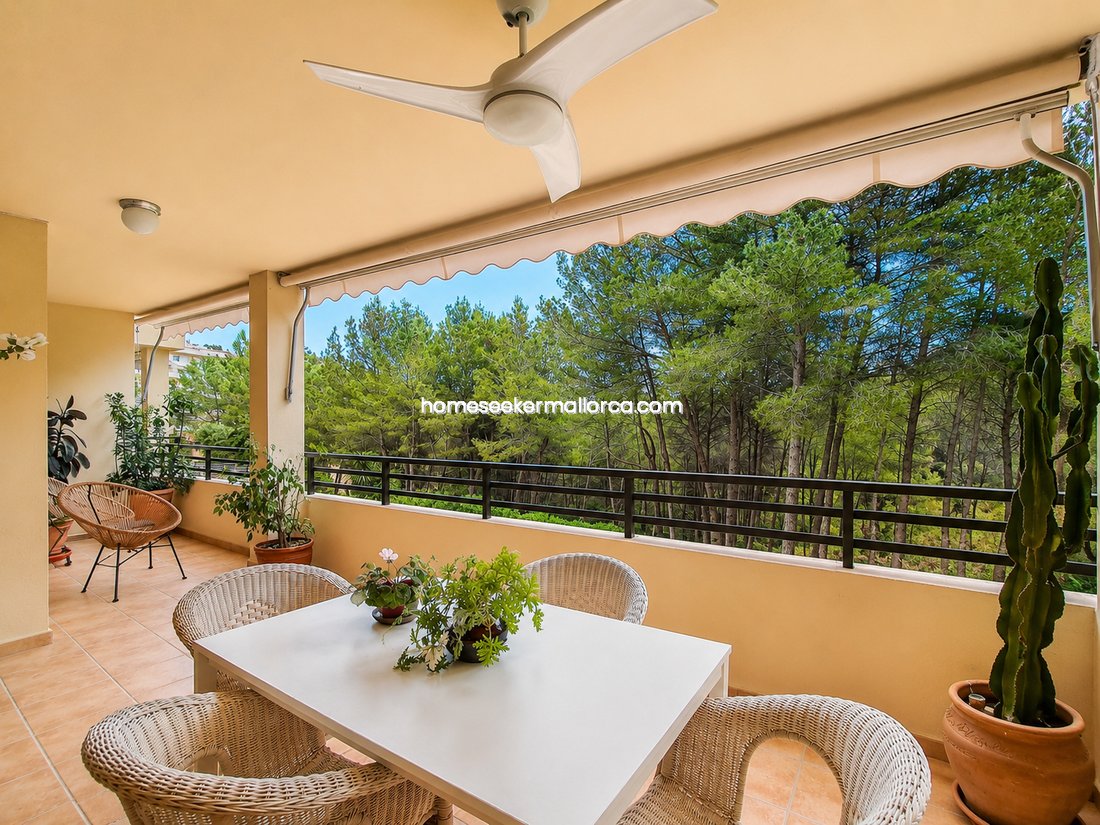 Apartment in Calvia, Balearic Islands, Spain 1 - 18769557