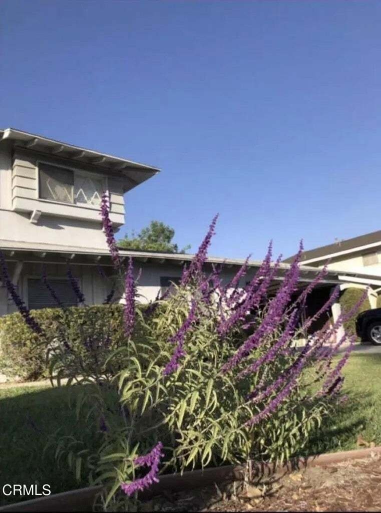 Otros en Arcadia, California, Estados Unidos 2 - 18766937
