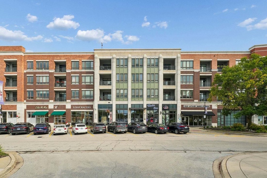 Condominio a Burr Ridge, Illinois, Stati Uniti 1 - 18771243