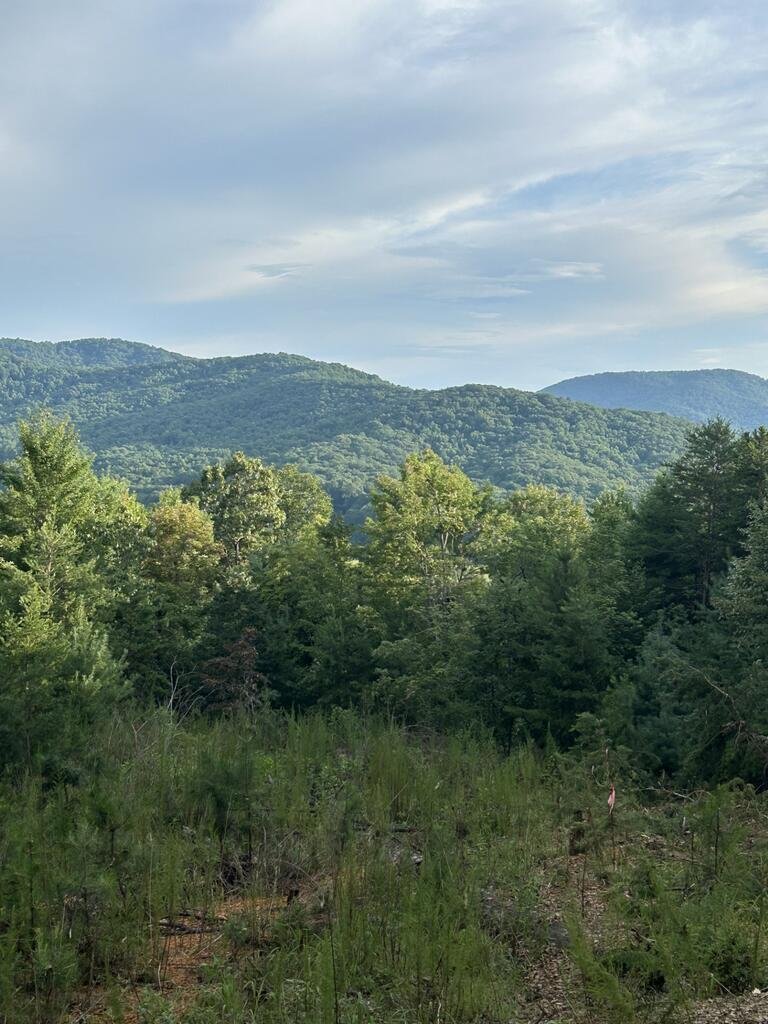 House in Morganton, Georgia, United States 1 - 17893555