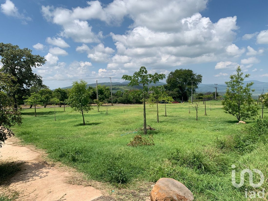 Land in Tepatitlán de Morelos, Jalisco, Mexico 4 - 18769429
