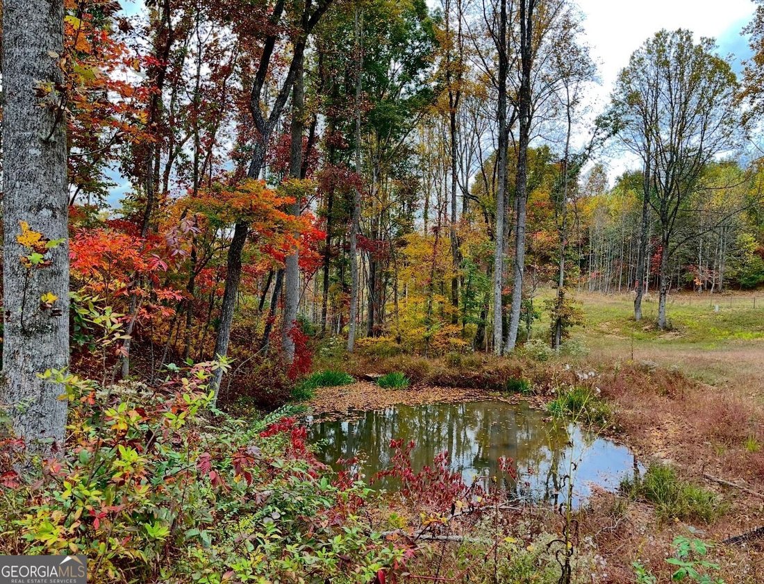 Rancho en Blairsville, Georgia, Estados Unidos 3 - 18695137