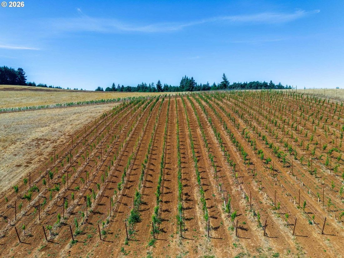 Terrain à Sheridan, Oregon, États-Unis 2 - 18771155