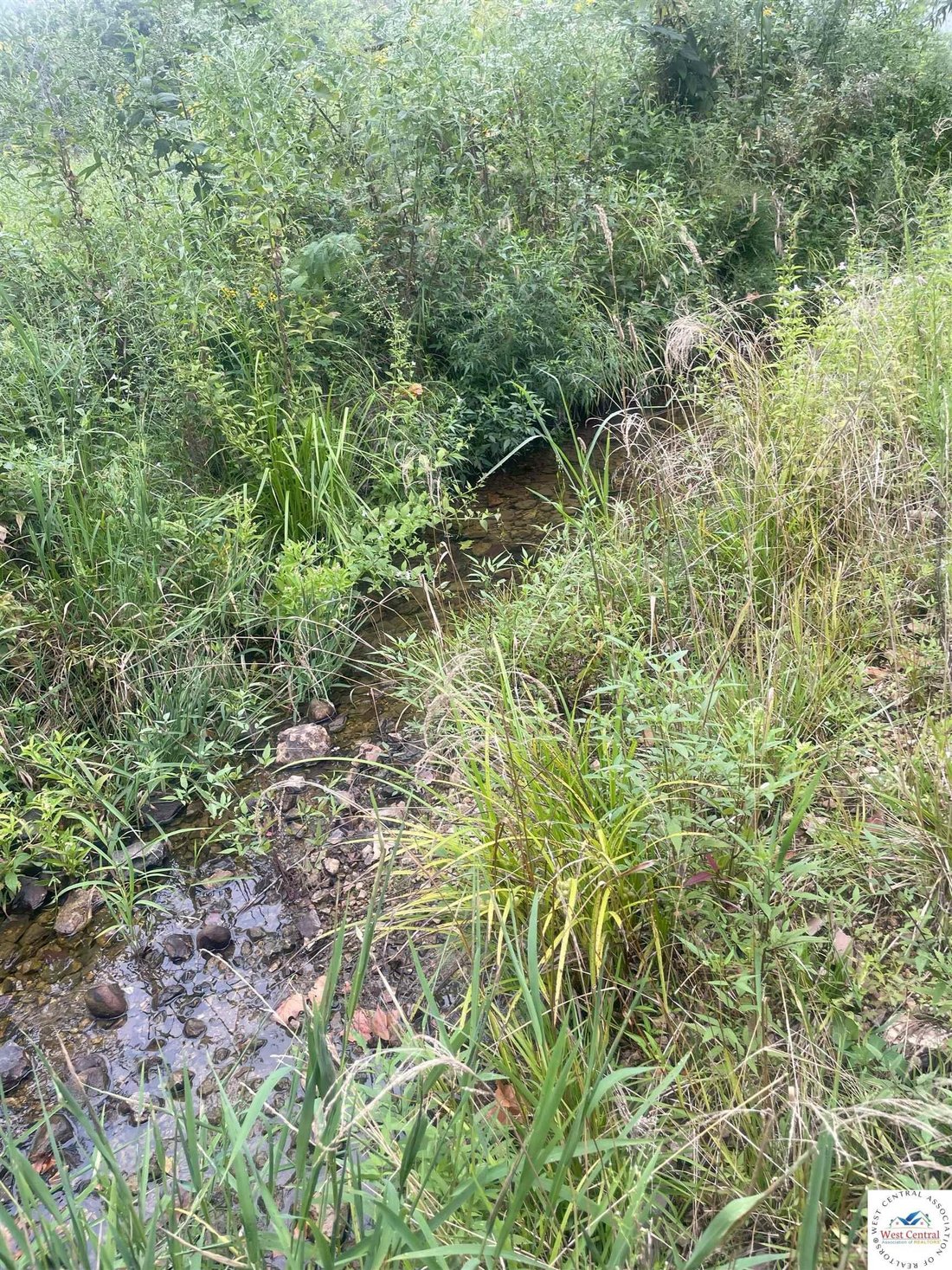 Terreno en Cole Camp, Misuri, Estados Unidos 4 - 18771669