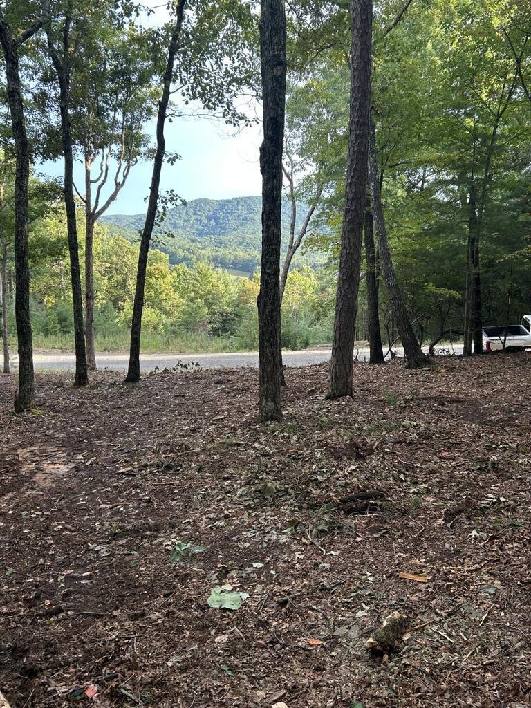 House in Morganton, Georgia, United States 3 - 17893555
