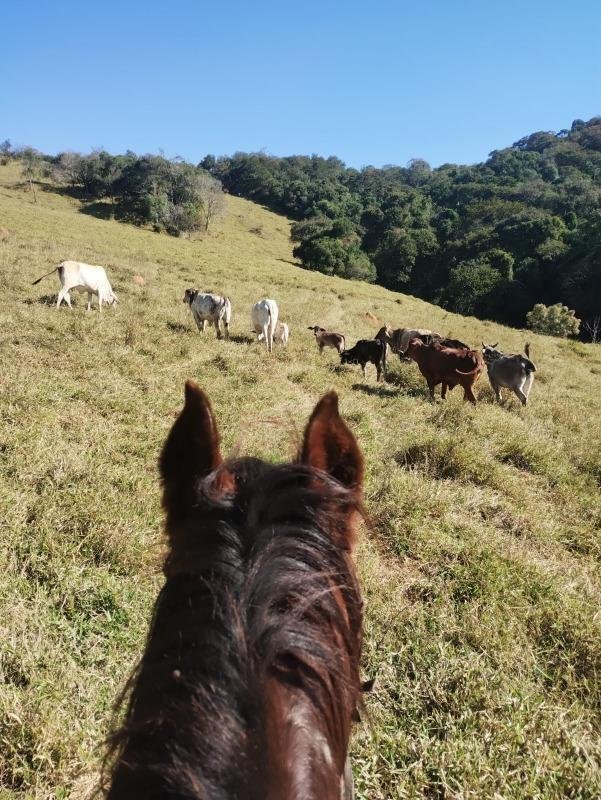Terreno en Atibaia, Atibaia, Brasil 2 - 18770267