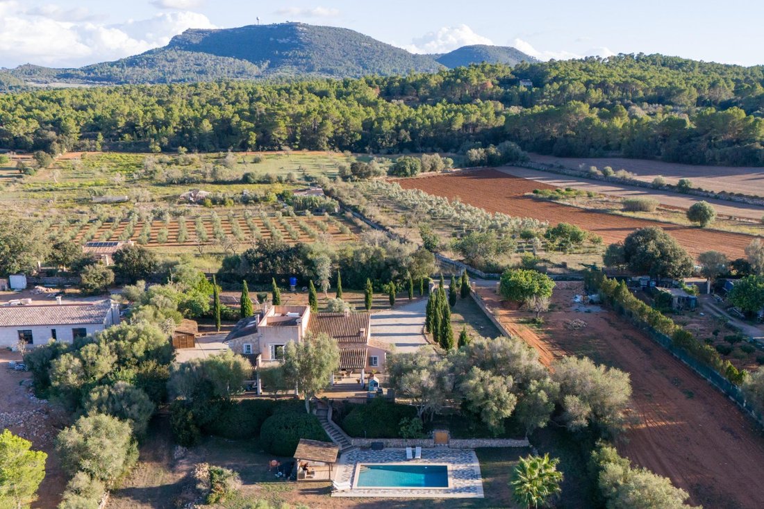 Landhaus in Algaida, Balearische Inseln, Spanien 2 - 18772533